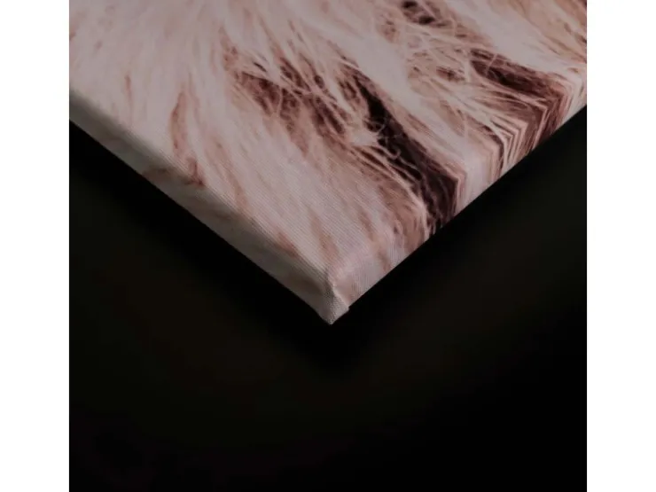 Bricoflor Hochlandrind Leinwandbild Deko Wandbild Mit Tier Weiß Beige Für Esszimmer Und Küche 80 X 120 Cm Ochsen Bild Landhausstil