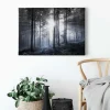 Bricoflor Leinwand Bild Mit Wald In Schwarz Weiß Wandbild Mit Tannenwald In Nebel Schlafzimmer Leinwandbild Mit Wald Und Sonnenstrahlen* Wanddekoration