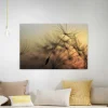 Bricoflor Leinwand Mit Pusteblume In Grau Gold Natur Wandbild Mit Sonnenuntergang Ideal Für Schlafzimmer Und Flur Canvas Bild Auf Keilrahmen* Wanddekoration