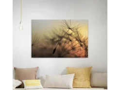Bricoflor Leinwand Mit Pusteblume In Grau Gold Natur Wandbild Mit Sonnenuntergang Ideal Für Schlafzimmer Und Flur Canvas Bild Auf Keilrahmen* Wanddekoration