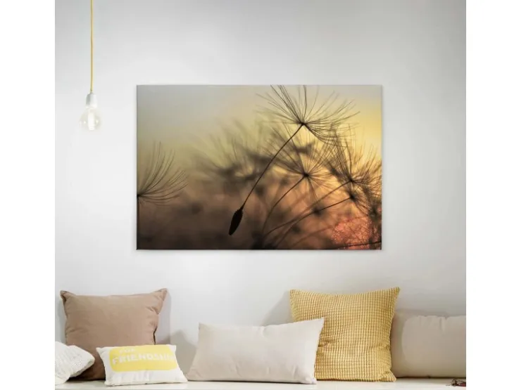 Bricoflor Leinwand Mit Pusteblume In Grau Gold Natur Wandbild Mit Sonnenuntergang Ideal Für Schlafzimmer Und Flur Canvas Bild Auf Keilrahmen* Wanddekoration