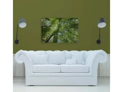 Bricoflor Leinwandbild Wald 120X80 Cm Natur Wandbild Grün Für Wohnzimmer Und Schlafzimmer Deko Leinwand Mit Baumkronen* Wanddekoration
