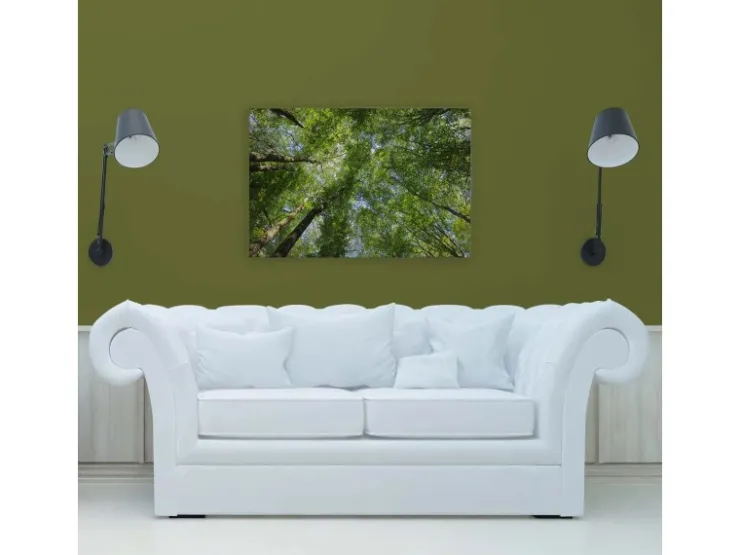 Bricoflor Leinwandbild Wald 120X80 Cm Natur Wandbild Grün Für Wohnzimmer Und Schlafzimmer Deko Leinwand Mit Baumkronen* Wanddekoration