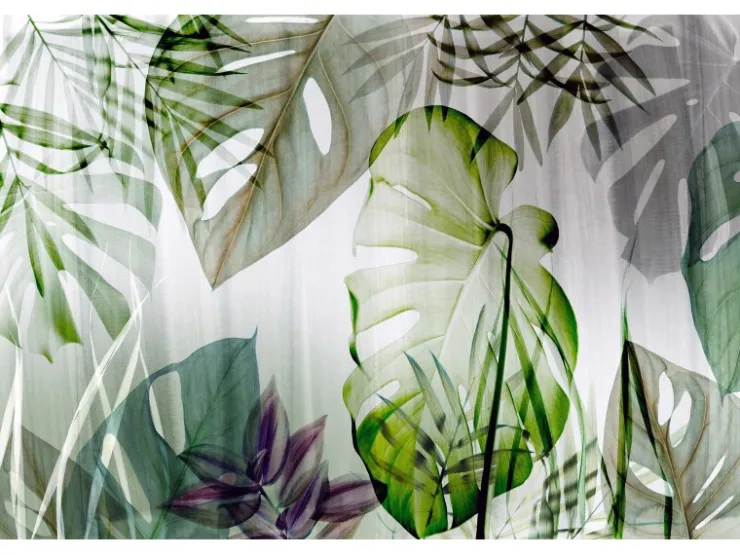 Bricoflor Monstera Tapete Transparent Tropische Blätter Vliestapete in Grün Weiß Grau Vlies Fototapete mit Palmenblättern für Wohn und Schlafzimmer