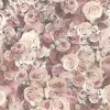 Bricoflor Rosen Tapete in Rosa Vintage Blumentapete im Shabby Chic Ideal für Schlafzimmer Romantische Rosentapete in Altrosa und Creme* Dekorative Tapeten