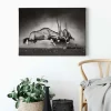 Bricoflor Schwarz Weiß Tierbild Oryx Antilope Bild Ideal Für Wohnzimmer Und Büro Modernes Leinwandbild Mit Tierfotografie Auf Keilrahmen* Wanddekoration