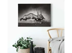Bricoflor Schwarz Weiß Tierbild Oryx Antilope Bild Ideal Für Wohnzimmer Und Büro Modernes Leinwandbild Mit Tierfotografie Auf Keilrahmen* Wanddekoration