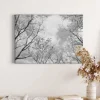 Bricoflor Schwarz Weiß Wald Bild Auf Leinwand Baumkrone Bild Mit Himmel Für Schlafzimmer Und Flur Wandbild Mit Bäumen Auf Keilrahmen* Wanddekoration