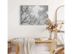 Bricoflor Schwarz Weiß Wald Bild Auf Leinwand Baumkrone Bild Mit Himmel Für Schlafzimmer Und Flur Wandbild Mit Bäumen Auf Keilrahmen* Wanddekoration