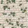 Bricoflor Steinwand Tapete mit Efeu Vintage Mauertapete in Creme und Grün ausgefallene Papiertapete in Steinoptik für Wohnzimmer