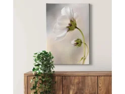 Bricoflor Wandbild Mit Blume Helles Blumenbild Auf Leinwand Ideal Für Schlafzimmer Und Badezimmer Leinwandbild Mit Blume In Weiß Im Hochformat* Wanddekoration