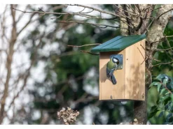 CJ Wildlife Nistkasten Seattle mit Raubtierschutz 32 mm* Vogelbedarf