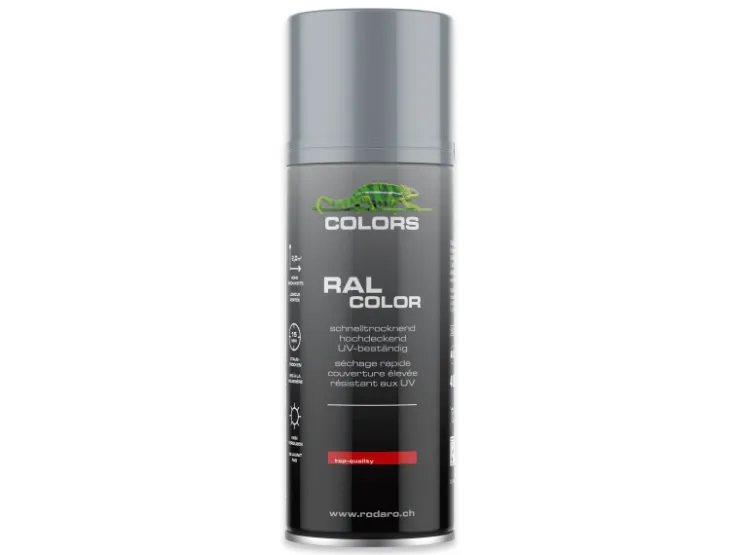 COLORS Sprühlack 400ml RAL7001 Silbergrau Glanz
