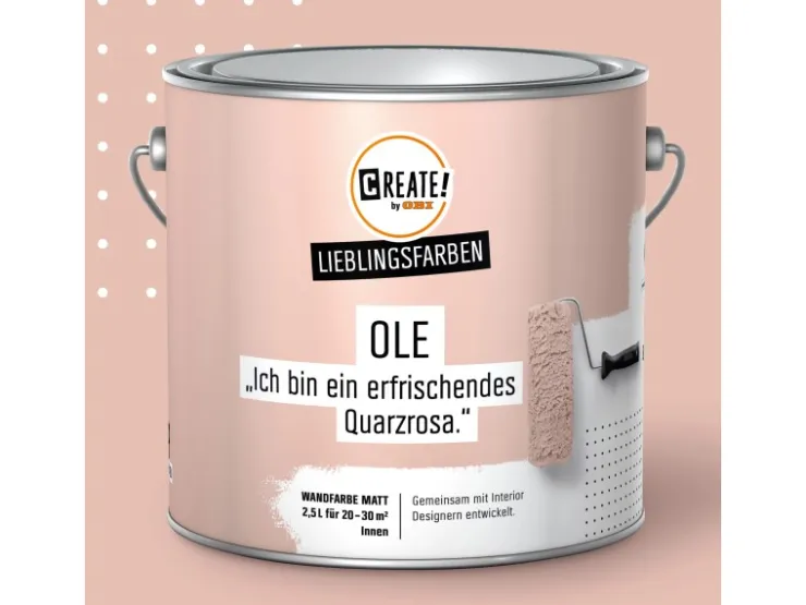 CREATE! by OBI Lieblingsfarben Wandfarbe Ole matt 2,5 l* Innenfarben