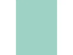 d-c-fix Selbstklebefolie Uni Lack mint 45cm x 2m* Klebefolien