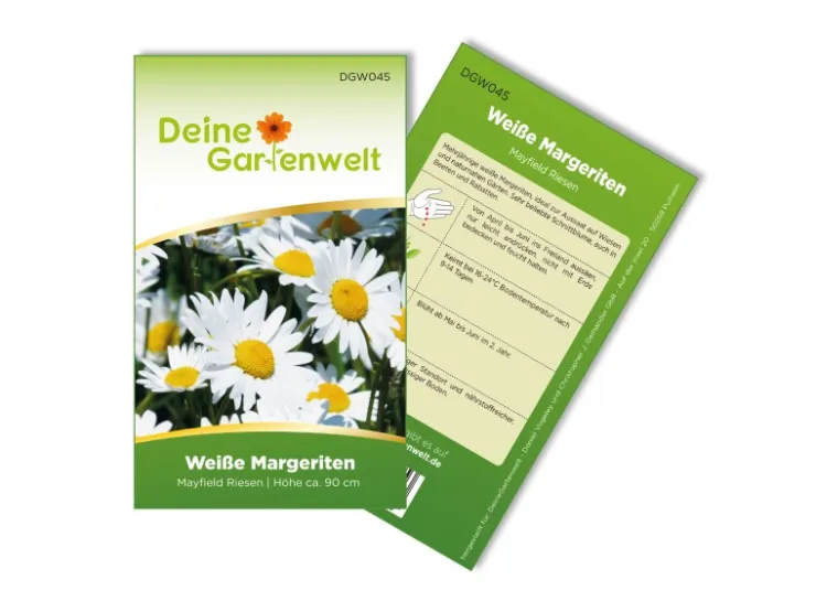 Deine Gartenwelt Margerite Weiß Samen* Vasen