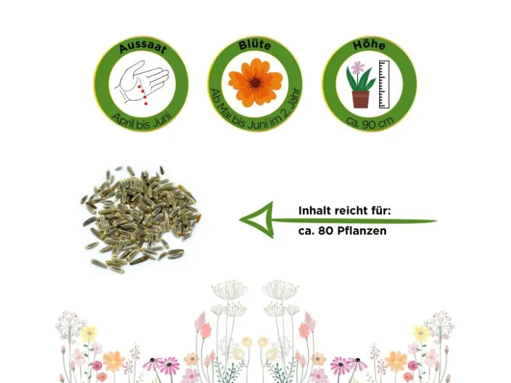 Deine Gartenwelt Margerite Weiß Samen* Vasen