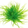 Dennerle Plants Aquariumpflanze Blyxa japonica In-Vitro* Terraristik