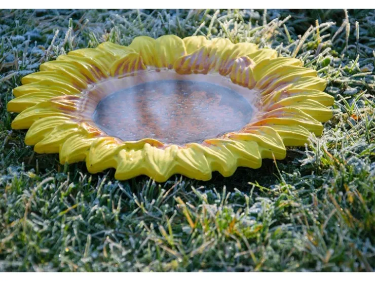 Dobar Insektentränke Fiore 30,5 cm x 30,5 cm x 4 cm Bunt* Vogeltränken