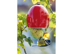 Dobar Keramik-Meisenknödelhalter 6er-Set Rot/Grün/Blau* Vogelbedarf