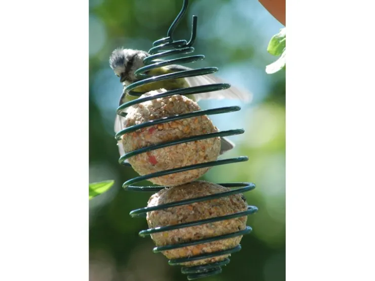 Dobar Vogelfutterfeder* Vogelbedarf