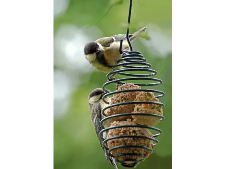 Dobar Vogelfutterfeder* Vogelbedarf