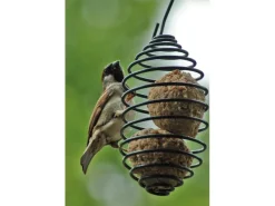 Dobar Vogelfutterfeder* Vogelbedarf
