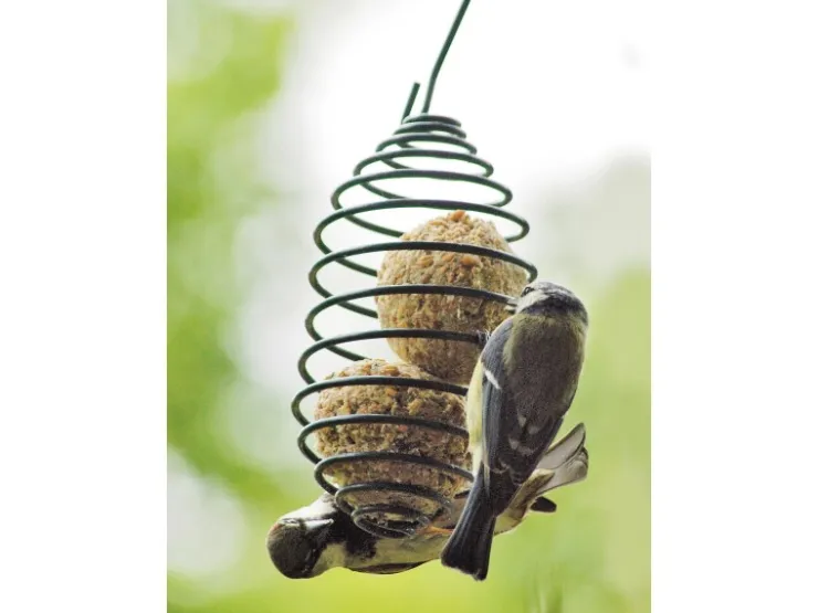 Dobar Vogelfutterfeder* Vogelbedarf