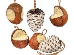 Dobar Vogelfutter-Mix 4 x gefüllte Kokosnuss und 2 x Riesenzapfen mit Fettfutter