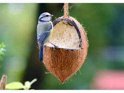 Dobar Vogelfutter-Mix 4 x gefüllte Kokosnuss und 2 x Riesenzapfen mit Fettfutter