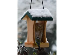 Dobar Vogelfutterstation mit Acrylglas-Futtersilo 16 cm x 16 cm x 24 cm Grün