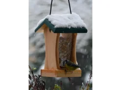 Dobar Vogelfutterstation mit Acrylglas-Futtersilo 16 cm x 16 cm x 24 cm Grün
