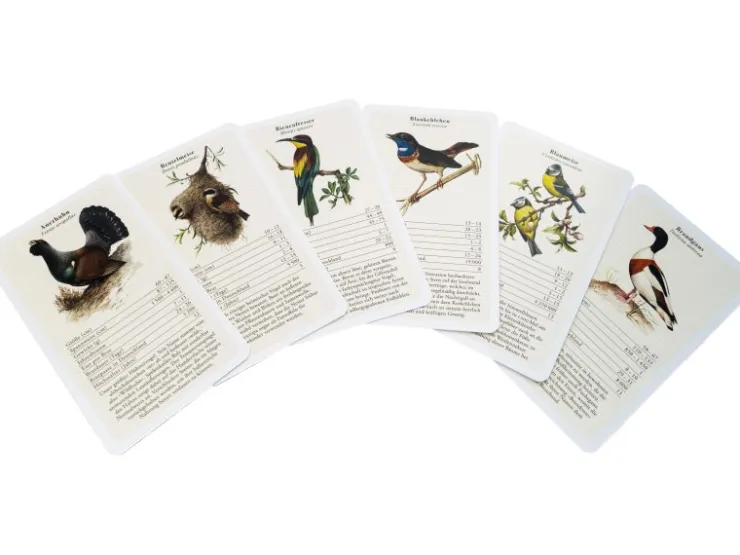 Dobar Vogelquartett Fliegende 9,3 cm x 13,4 cm x 3,5 cm Edelstein* Vogelbedarf