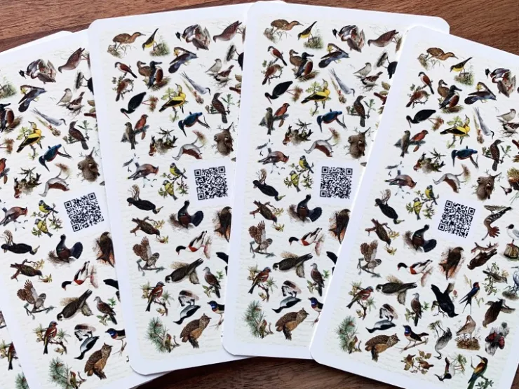 Dobar Vogelquartett Fliegende 9,3 cm x 13,4 cm x 3,5 cm Edelstein* Vogelbedarf