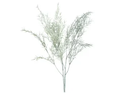DPI Asparagus-Zweig 85 cm Grün 2-Fach Sortiert* Vasen