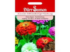 Dürr Samen Zinnien Dahlienblütige Prachtmischung Einjährig Saatgut* Vasen