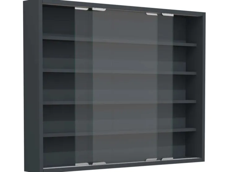 ebuy24 AgisaL Glasvitrinen Wandhängend 2 Schiebetüren Anthrazit