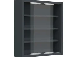 ebuy24 AgisaS Glasvitrinen Wandhängend 2 Schiebetüren Anthrazit* Vitrinen