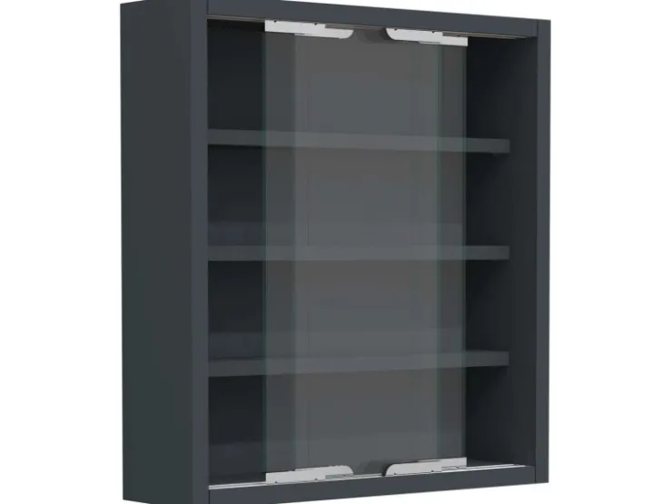 ebuy24 AgisaS Glasvitrinen Wandhängend 2 Schiebetüren Anthrazit* Vitrinen