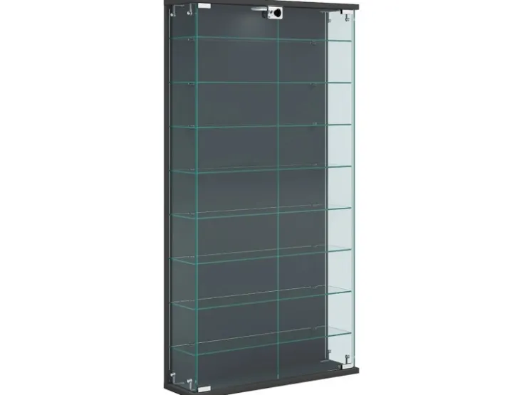 ebuy24 RelasL Vitrinenschrank Wandhängend 2 Türen Anthrazit