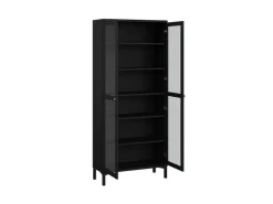 ebuy24 Roma Vitrinenschrank 2 Türen Matt Schwarz