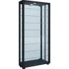 ebuy24 VitrosaMaxi Vitrinenschrank Wandhängend mit Spiegel 2 Glastüren Inkl LED-Leuchten Schwarz