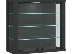 ebuy24 VitrosaS Vitrinenschrank Wandhängend 2 Glastüren Anthrazit* Vitrinen
