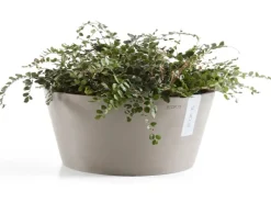 Ecopot s Pflanzschale Frankfurt 30 cm