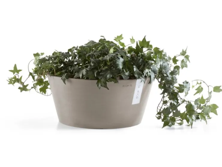Ecopot s Pflanzschale Frankfurt 30 cm