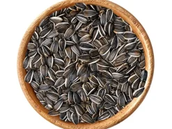 elles Sonnenblumenkerne 2,5 kg* Vogelbedarf