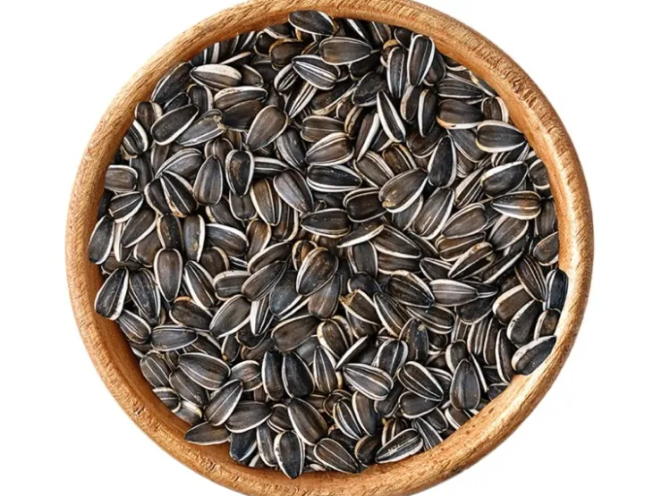 elles Sonnenblumenkerne 2,5 kg* Vogelbedarf