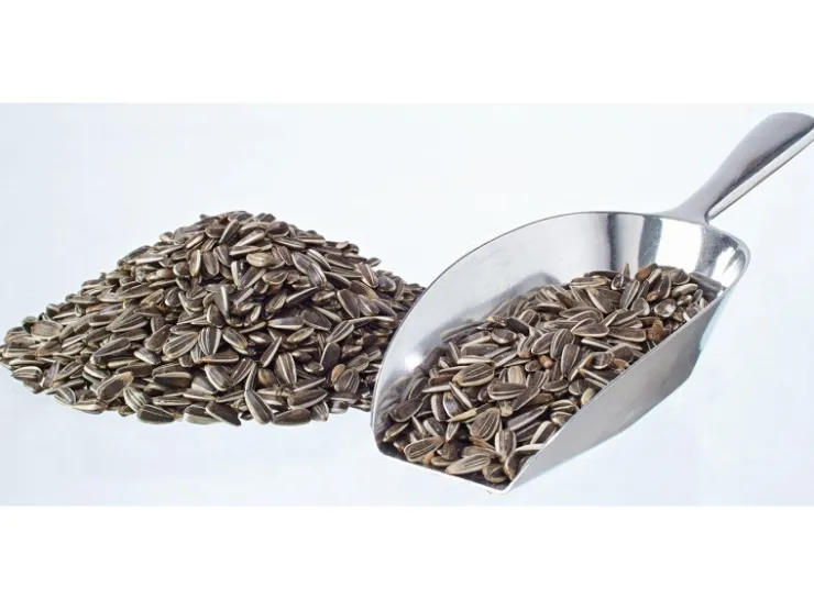 elles Sonnenblumenkerne 2,5 kg* Vogelbedarf