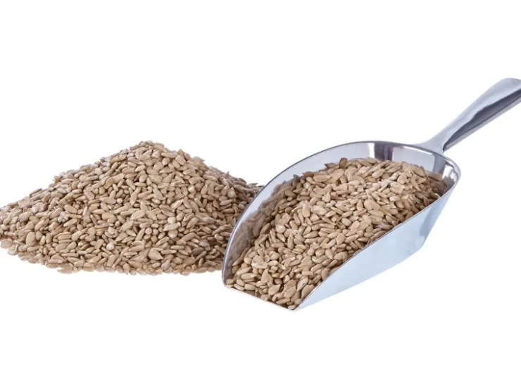 elles Sonnenblumenkerne geschält 1 kg* Vogelbedarf