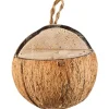 elles Wildvogelfutter Kokosnuss mit Erdnussbutter 400 g* Vogelbedarf